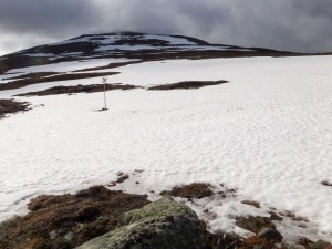 Över ca 1 000 m.ö.h. fanns snölegorna